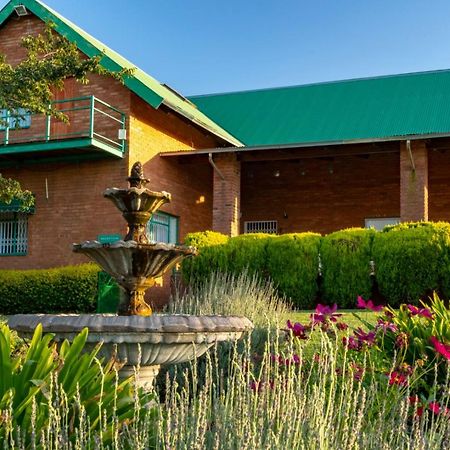 Olive Tree Farm Bed and Breakfast Magaliesburg Buitenkant foto