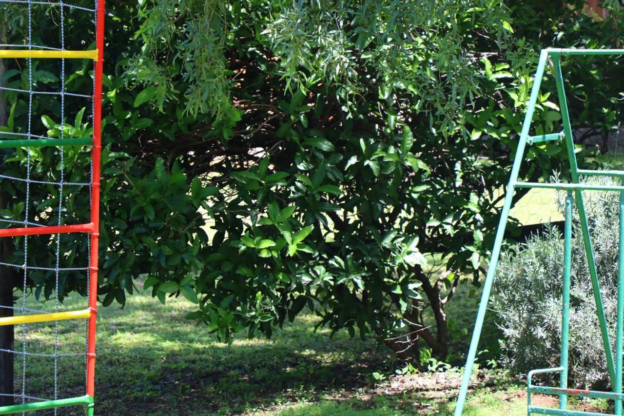Olive Tree Farm Bed and Breakfast Magaliesburg Buitenkant foto