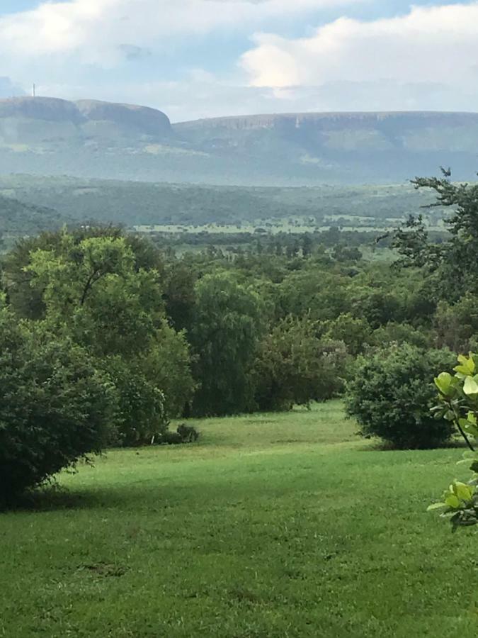 Olive Tree Farm Bed and Breakfast Magaliesburg Buitenkant foto