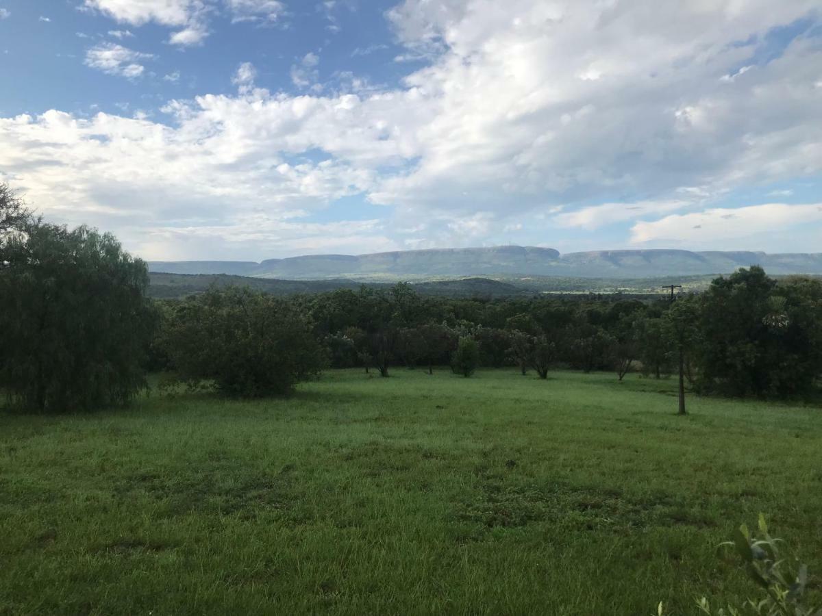 Olive Tree Farm Bed and Breakfast Magaliesburg Buitenkant foto