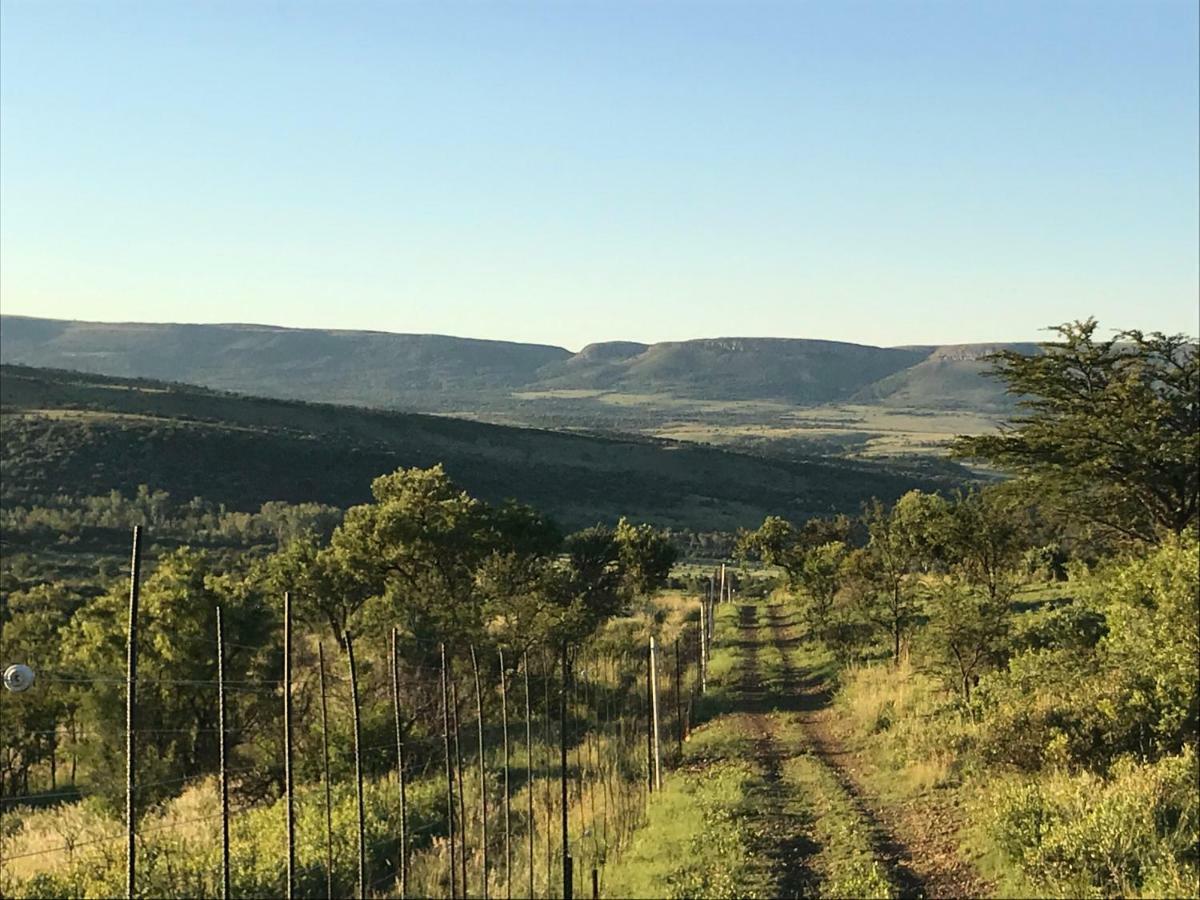 Olive Tree Farm Bed and Breakfast Magaliesburg Buitenkant foto
