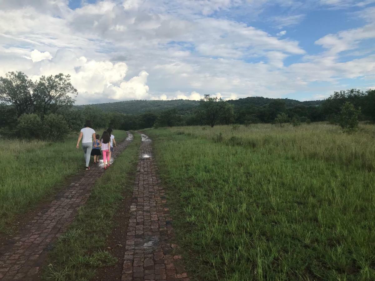 Olive Tree Farm Bed and Breakfast Magaliesburg Buitenkant foto