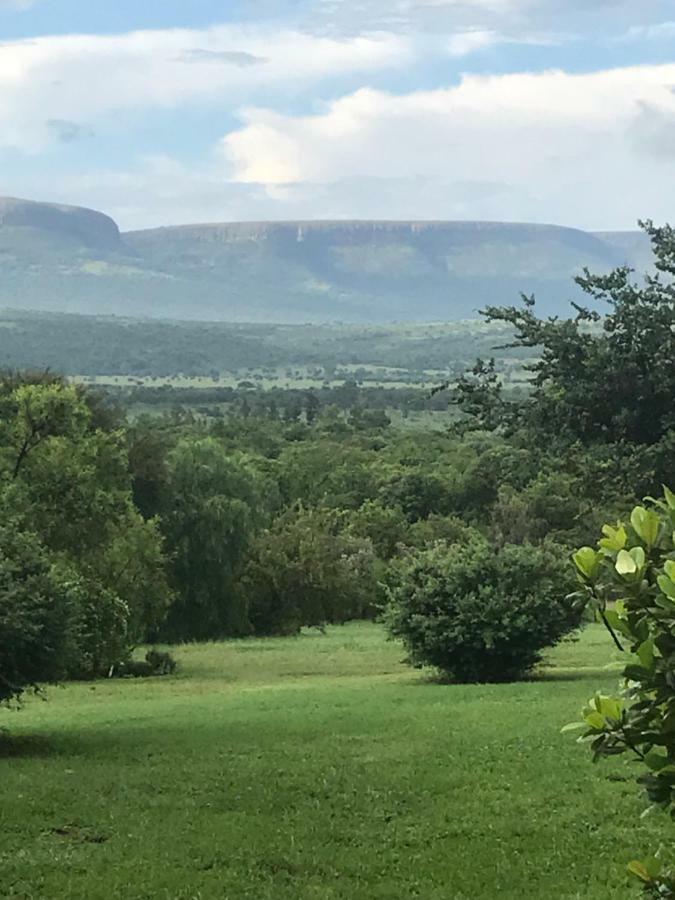 Olive Tree Farm Bed and Breakfast Magaliesburg Buitenkant foto