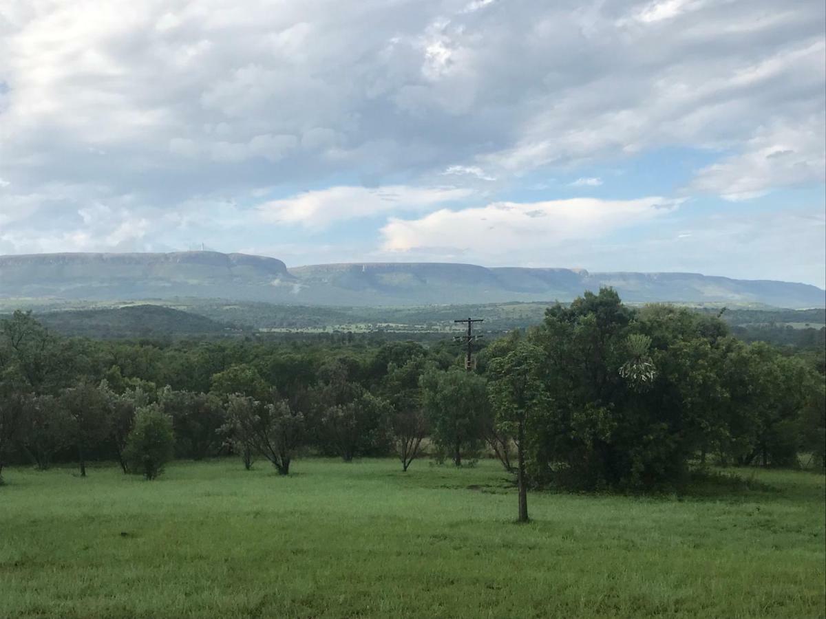 Olive Tree Farm Bed and Breakfast Magaliesburg Buitenkant foto