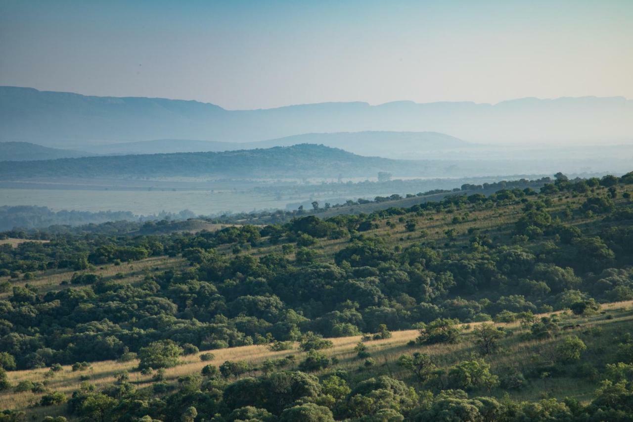 Olive Tree Farm Bed and Breakfast Magaliesburg Buitenkant foto