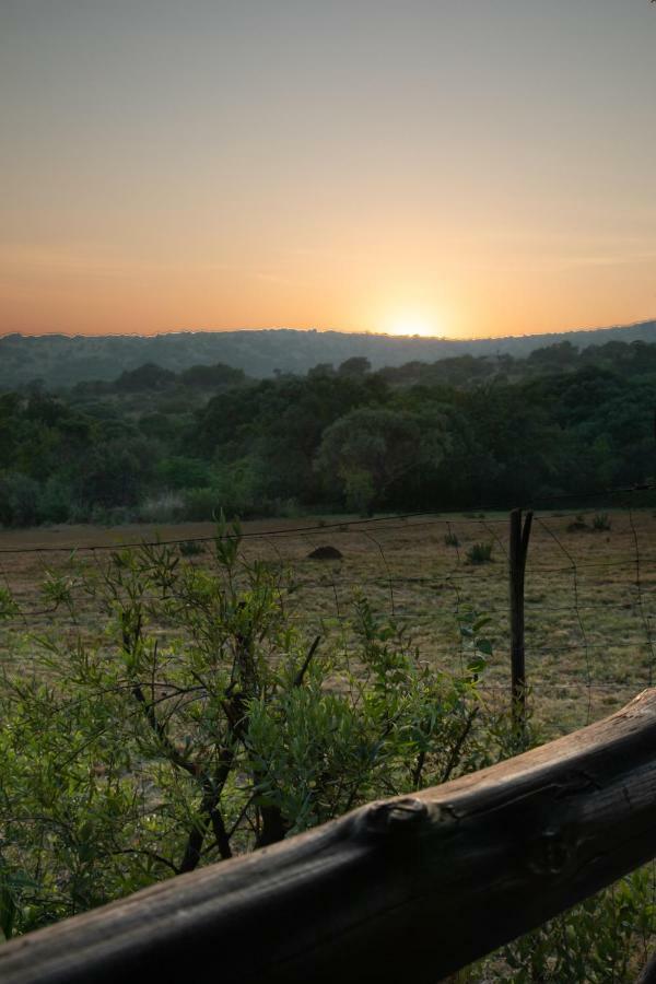 Olive Tree Farm Bed and Breakfast Magaliesburg Buitenkant foto