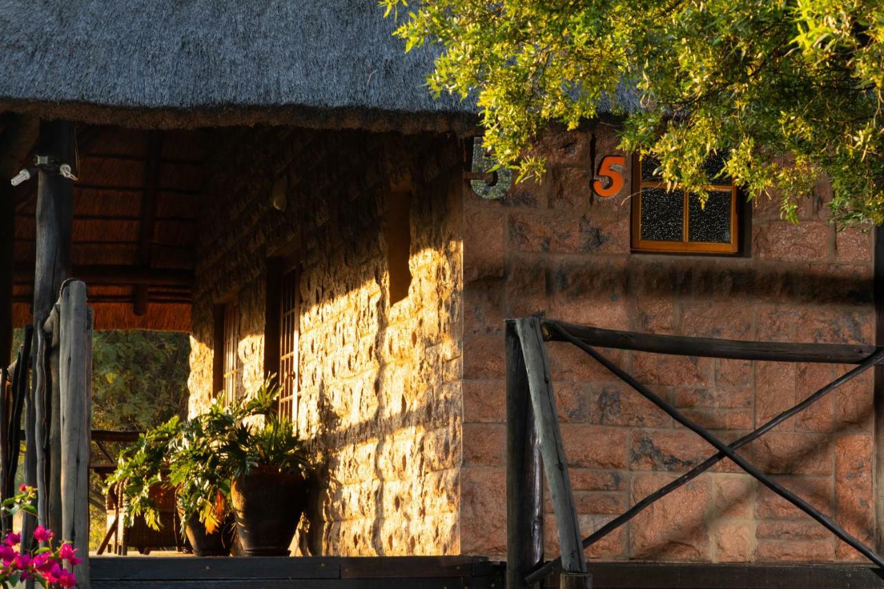Olive Tree Farm Bed and Breakfast Magaliesburg Buitenkant foto