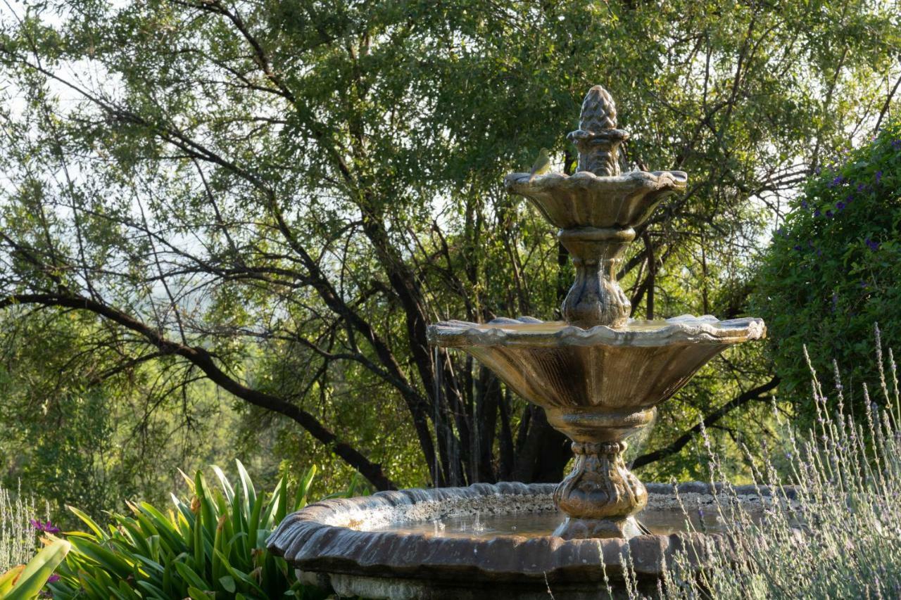 Olive Tree Farm Bed and Breakfast Magaliesburg Buitenkant foto