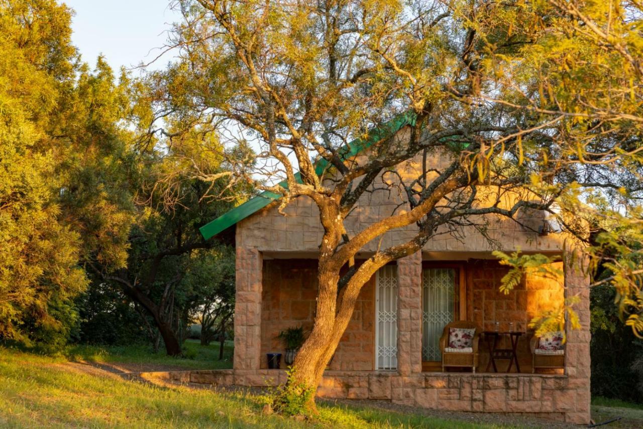 Olive Tree Farm Bed and Breakfast Magaliesburg Buitenkant foto