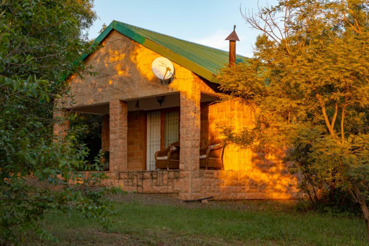 Olive Tree Farm Bed and Breakfast Magaliesburg Buitenkant foto